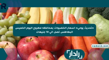«تحديث يومي» أسعار الخضروات بمحافظة مطروح اليوم الخميس البطاطس تصل إلى 10 جنيهات